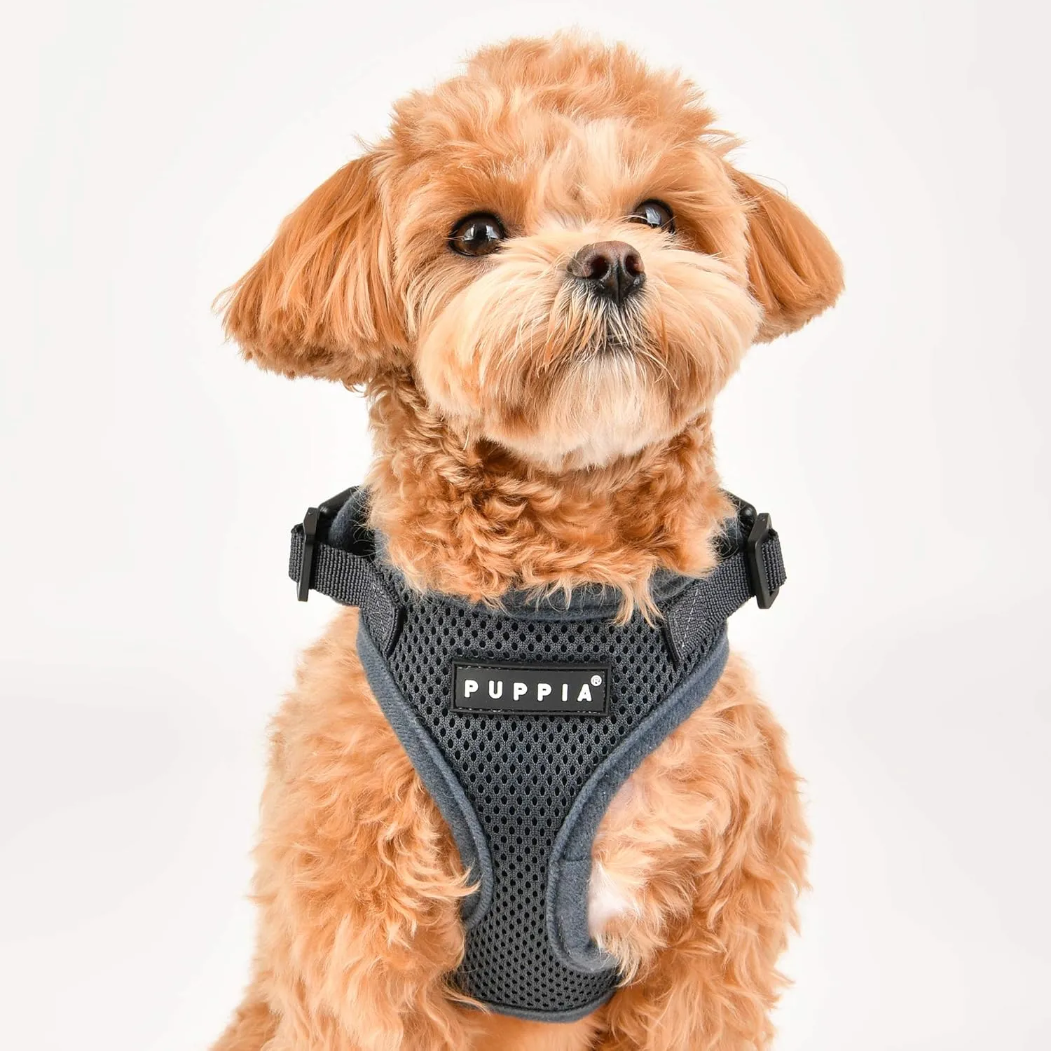 Authentic Puppia RiteFit Harness with Adjustable Neck, Red, Medium