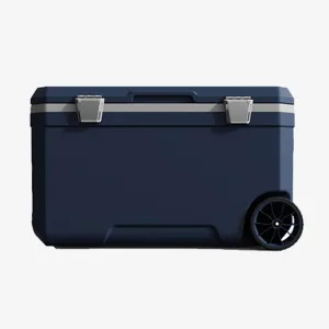 Car Camping Coolers for Ford Escort/Fiesta/Focus/Kuga/Mondeo/Mustang, Waterproof Portable Cooler, Leak Proof Picnic Insulated Bag, Ultra-Light Premium Ice Chest Box,C-Blue-70L