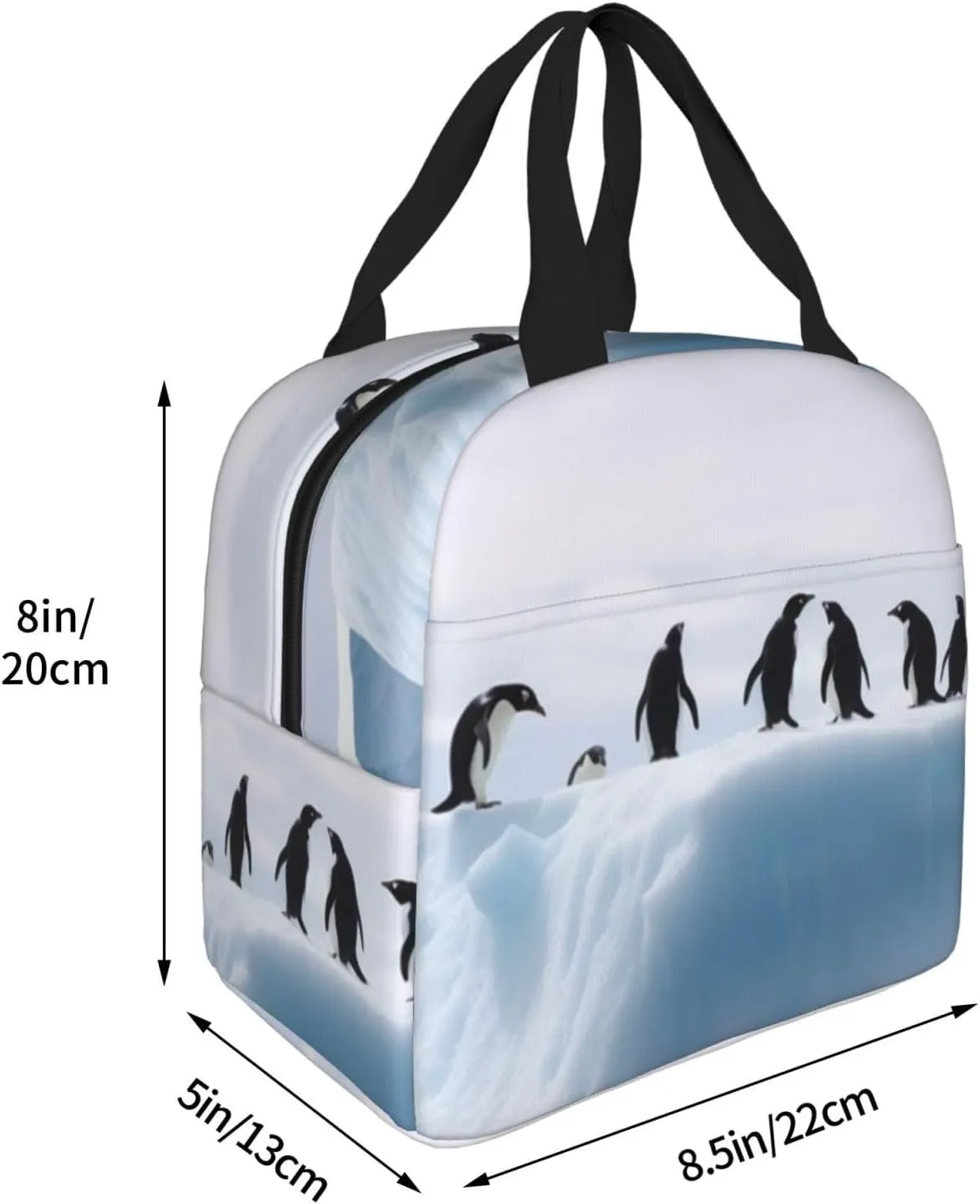 Lunch Bag for Women Men Penguins on the Iceberg LunchBox Portable Insulated Lunch Box Reusable Tote Bags for Work